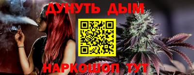 молекула духа Краснодар