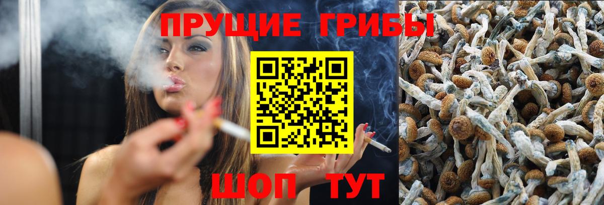 Галлюциногенные грибы мицелий  Галлюциногенные грибы Psilocybe  Вход с VPN  Ишимбай 